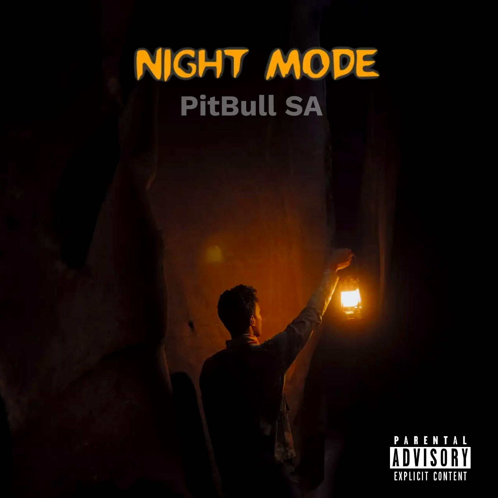 Night Mode - PitBull SA